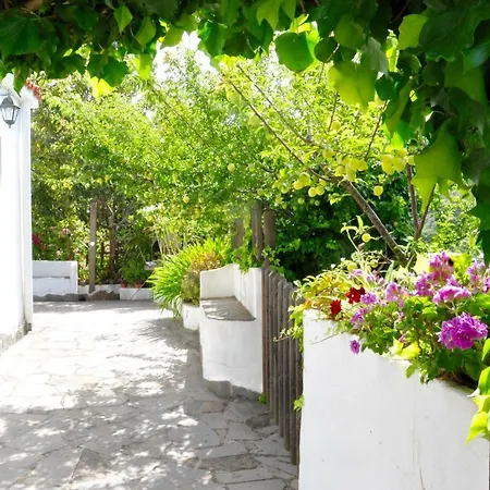 Bella Doramas Panchita & Millo Holiday home Moya (Gran Canaria)