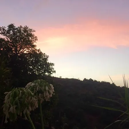 Bella Doramas Panchita & Millo Holiday home Moya (Gran Canaria)