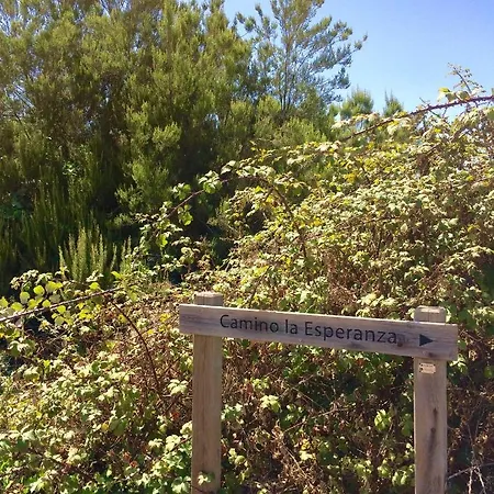 Bella Doramas Panchita & Millo *