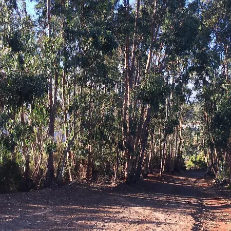 Bella Doramas Panchita & Millo * Moya (Gran Canaria)